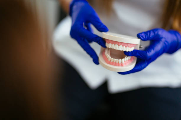 Best Cosmetic Dentistry  in Sauk Vlage, IL